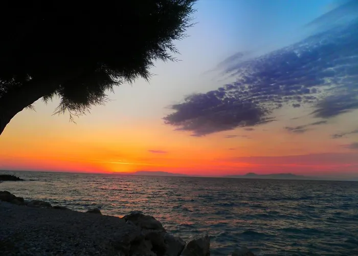 Alexia & Apartment *