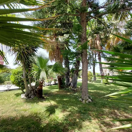 Alexia & * Kremasztí